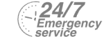 24/7 Emergency Service Pest Control in Ealing, W5. Call Now! 020 8166 9746