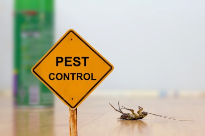 Pest Contol in Ealing, W5. Call Now 020 8166 9746